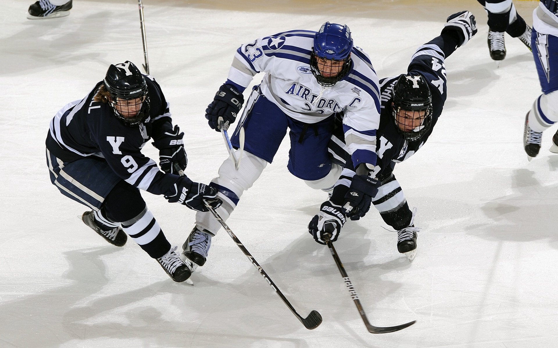 荷兰队在欧洲预赛中表现优异，顺利晋级